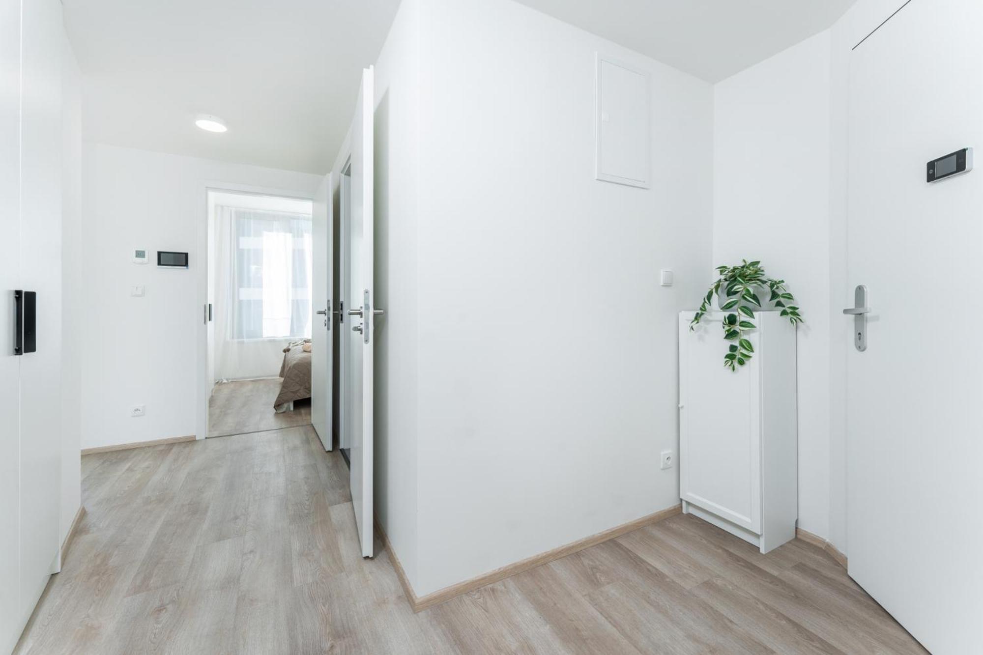 Mymozart Apartments Prague By Rentero Property Екстер'єр фото
